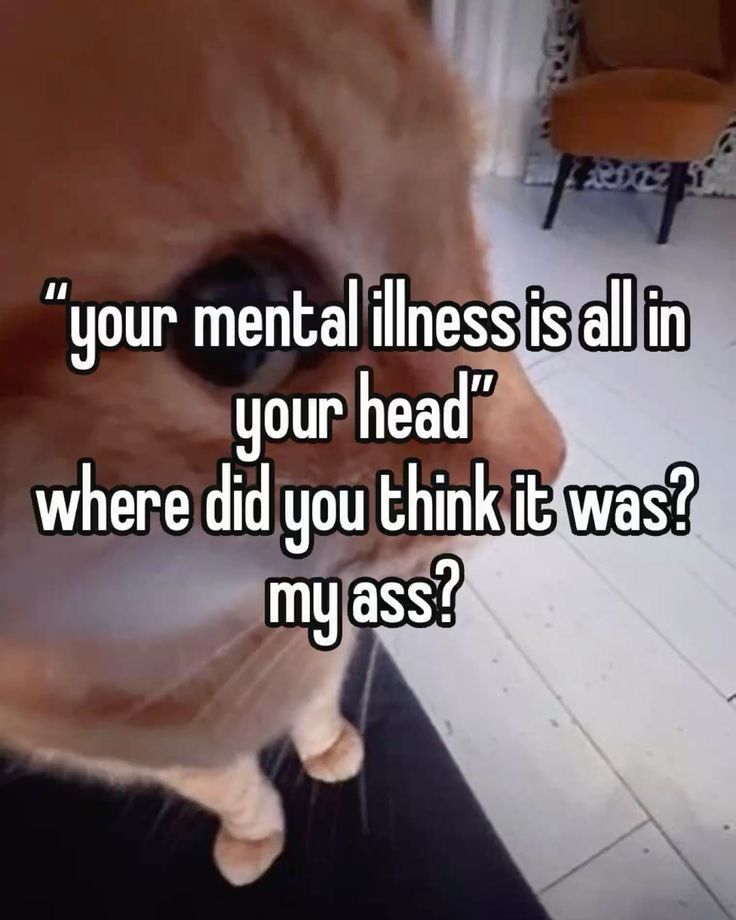 ADHD Memes tweet media