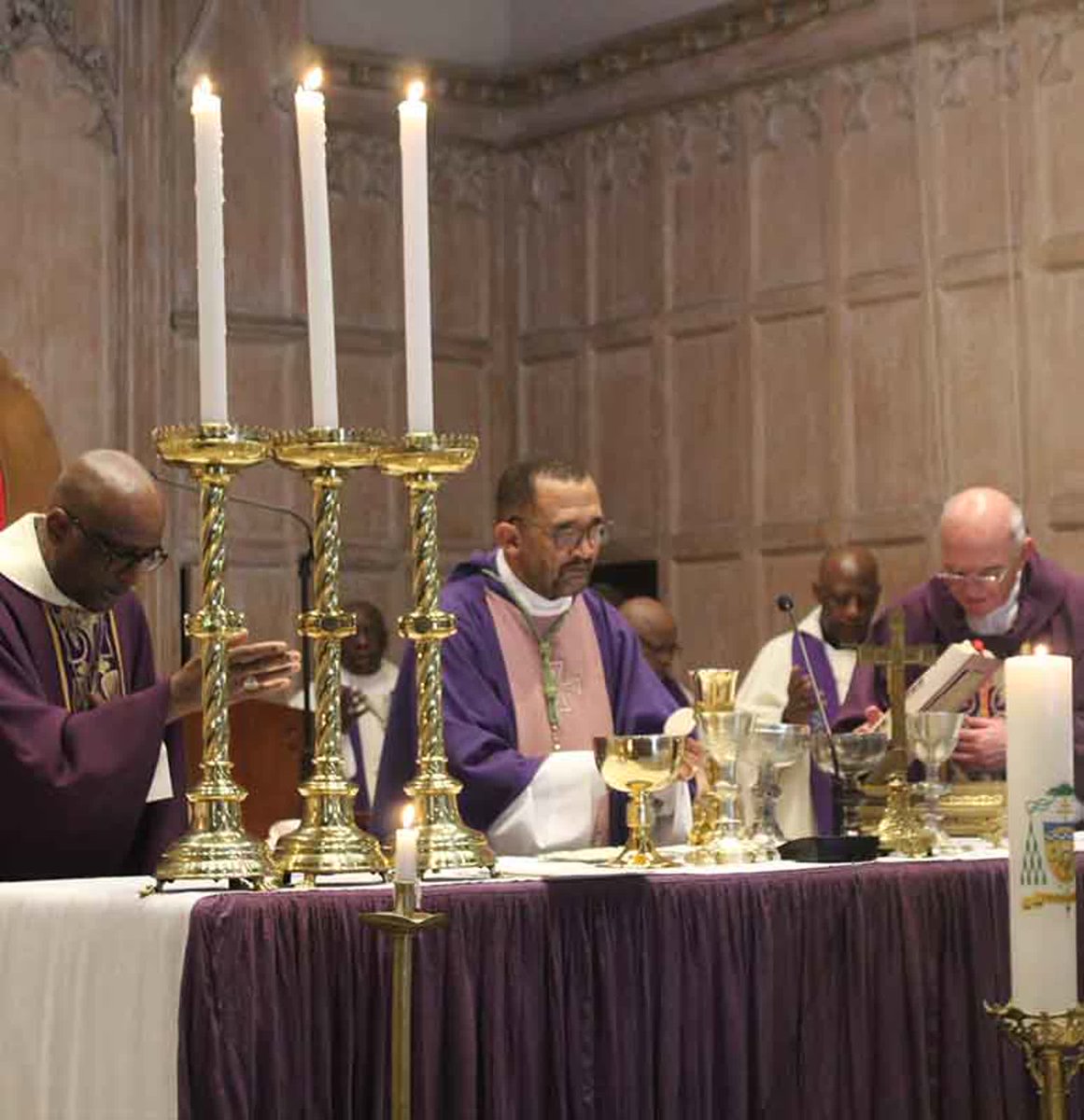 The Southern Cross  tweet media