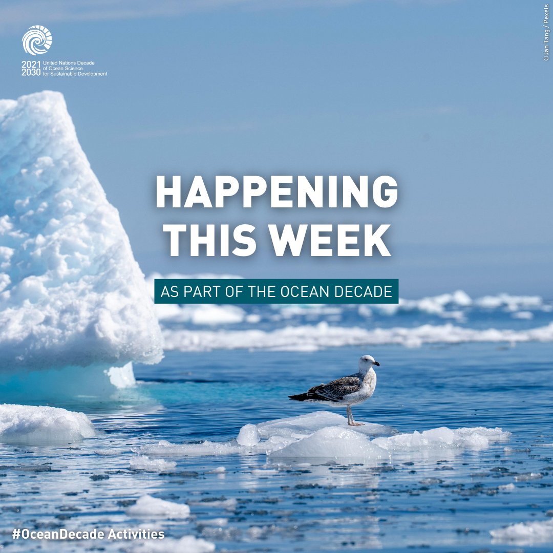 UN Ocean Decade tweet media