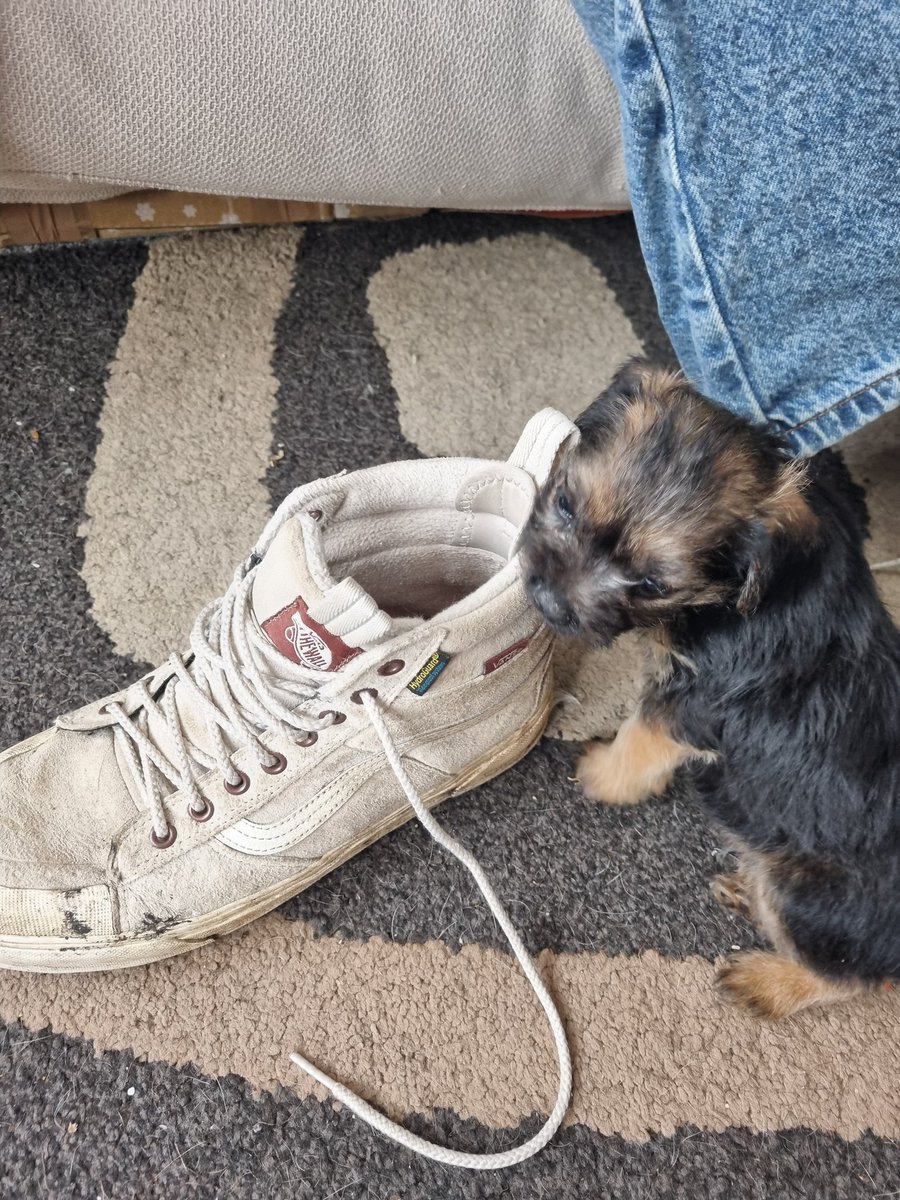 Reginald Barkley - sekretary of da social club! tweet media