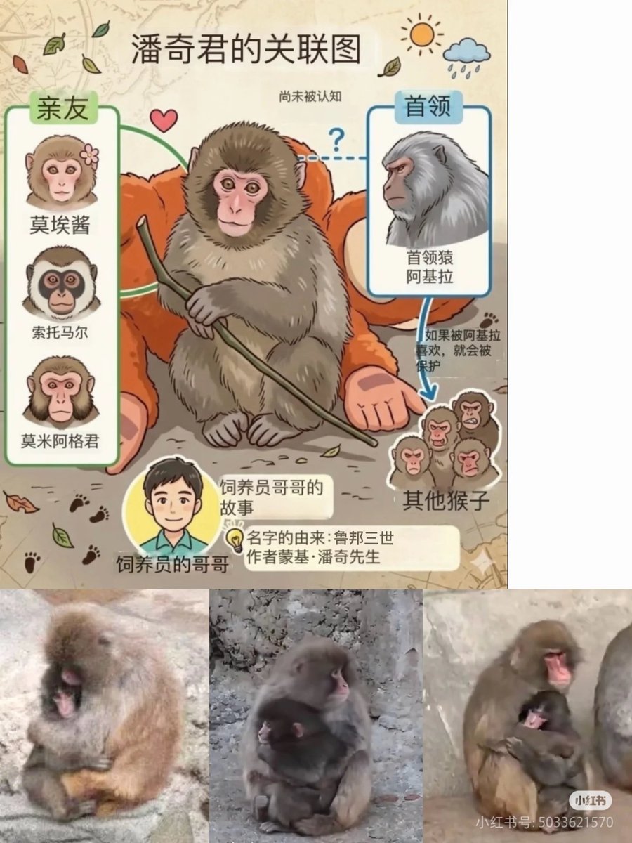 干し柿 -Hoshigaki- tweet media