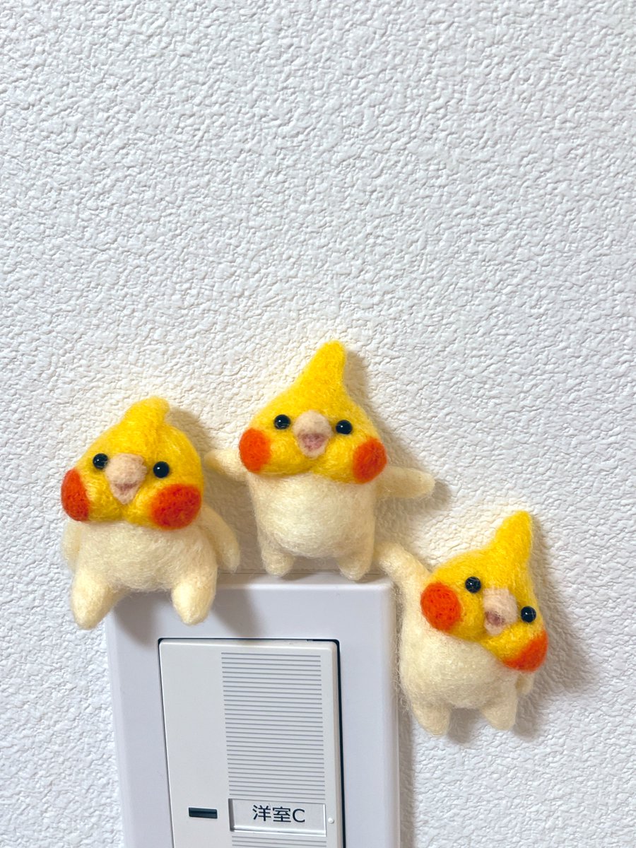 tokori(とこり) tweet media