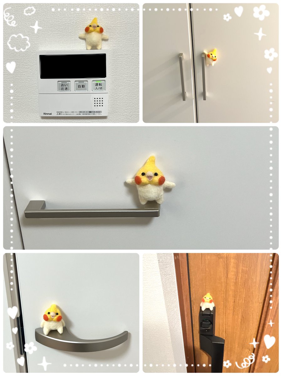 tokori(とこり) tweet media