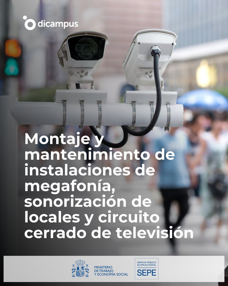 Dicampus tweet media