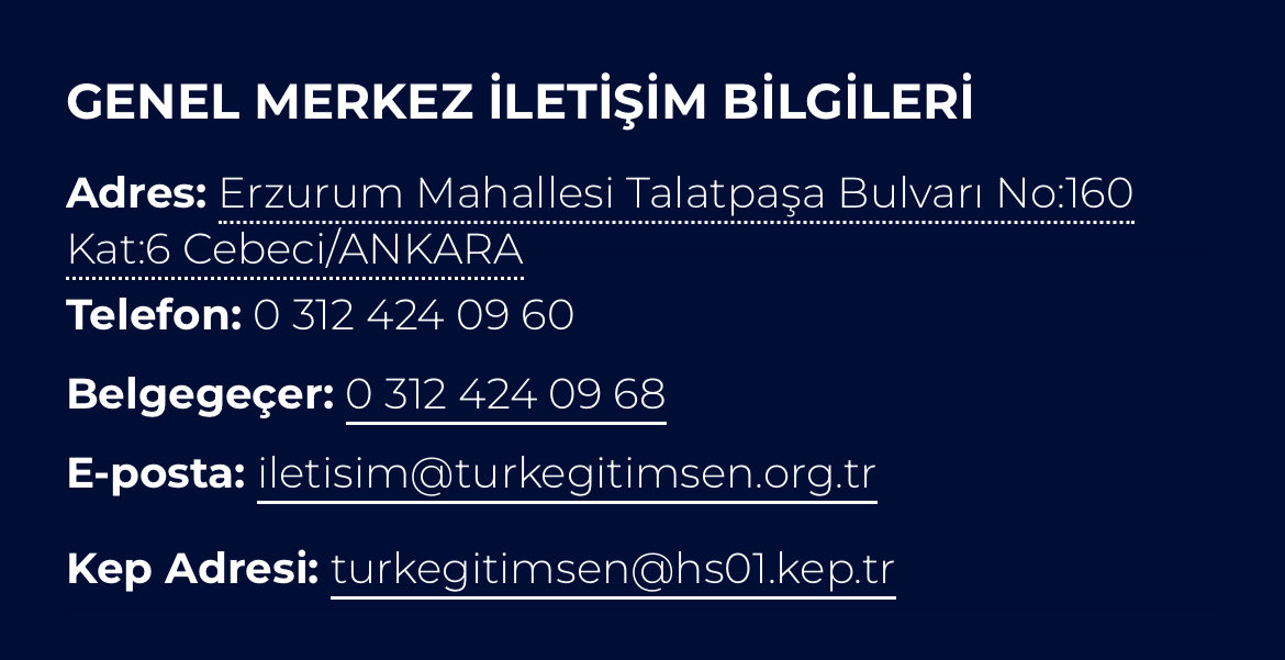 Havva tweet media