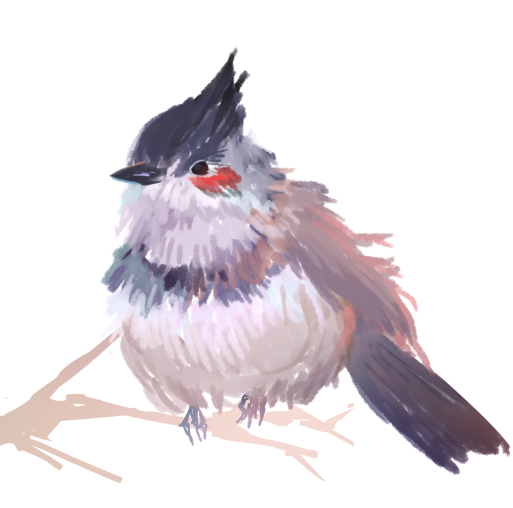 放浪者 tweet media