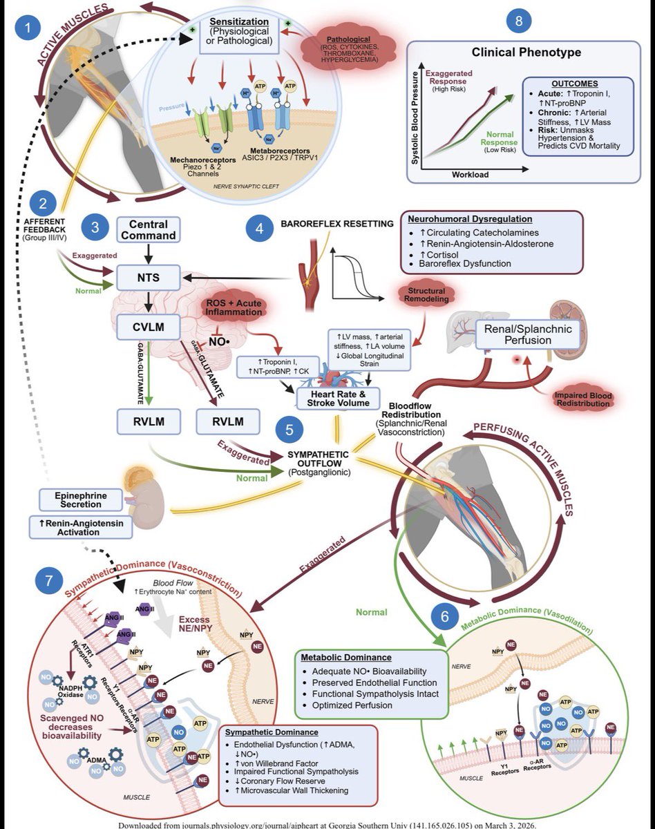 Andrew Flatt tweet media