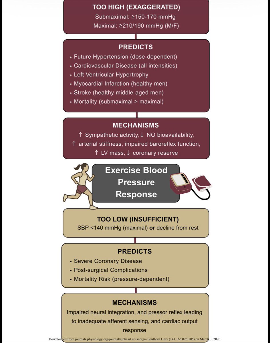 Andrew Flatt tweet media