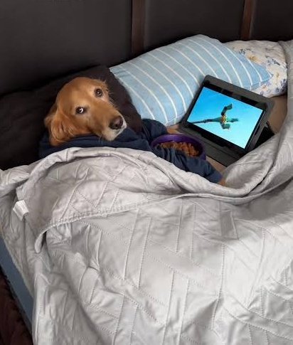 𝐂𝐨𝐦𝐮𝐧𝐢𝐝𝐚𝐝 𝐋𝐮𝐳𝐮 𝐂𝐡𝐢𝐥𝐞 🇨🇱 tweet media