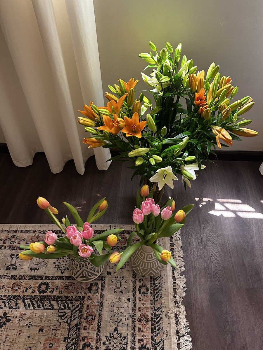 ألوان الحياة 🌺🌻🌷