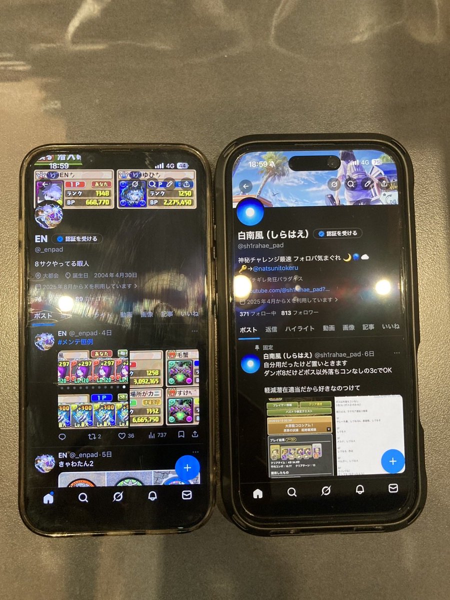 白南風（しらはえ） tweet media