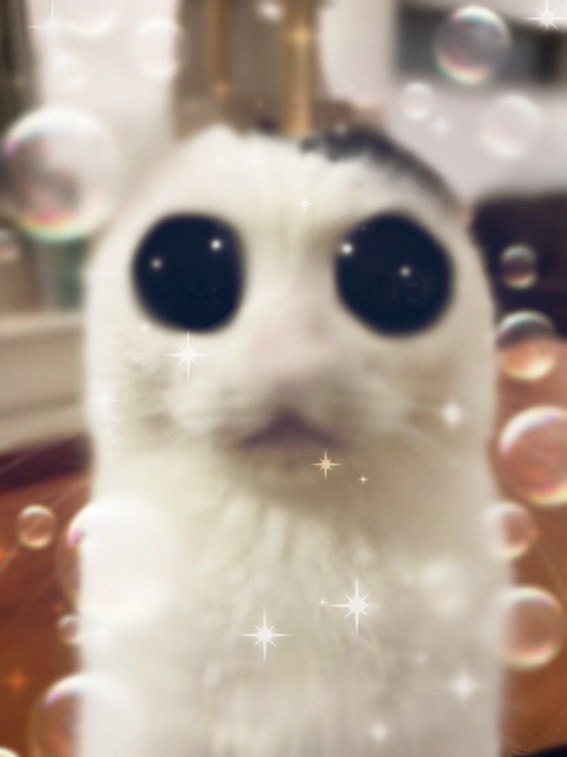 xienne 🧷 | #teamdiscord tweet media