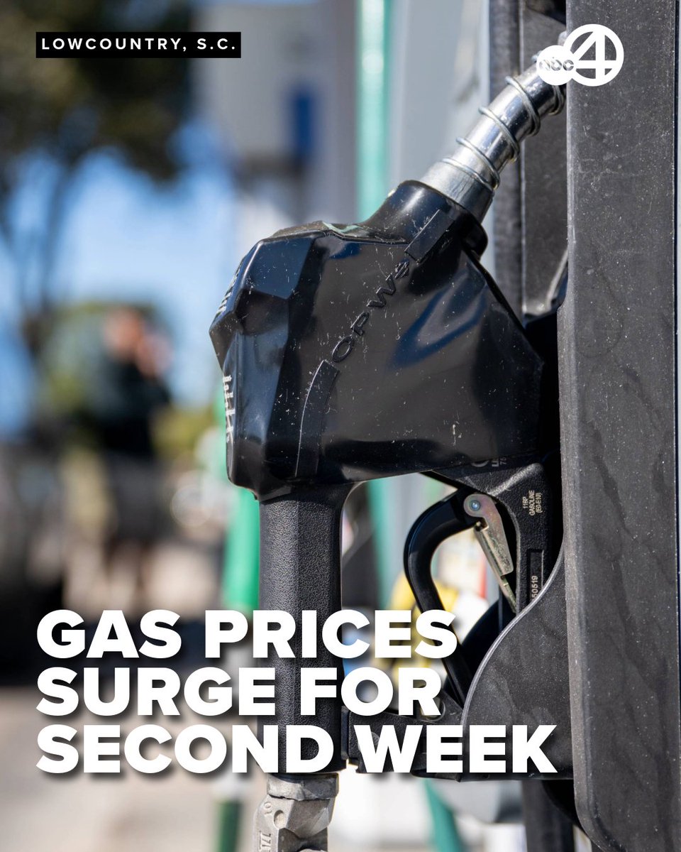 ABC News 4 tweet media