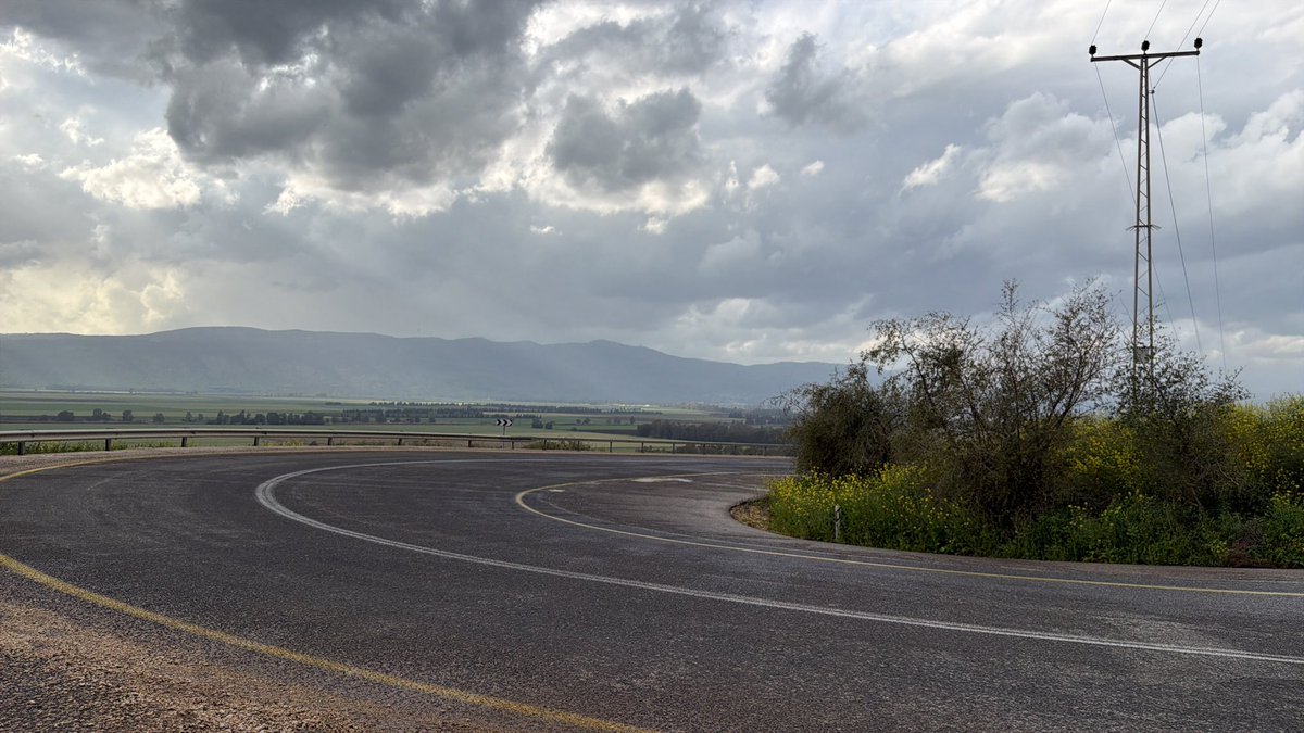 משה (קינלי) טור-פז Moshe Turpaz 🟠 tweet media