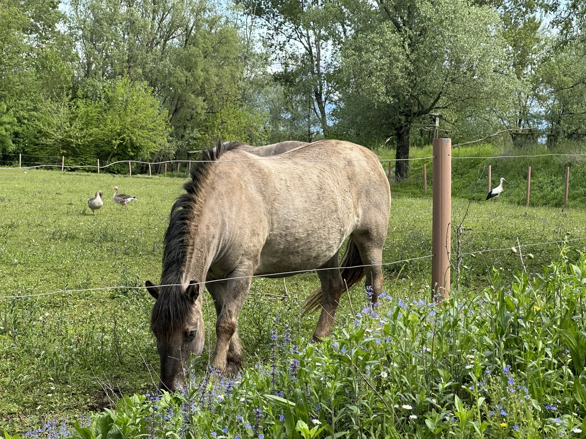 TurismoFVG tweet media