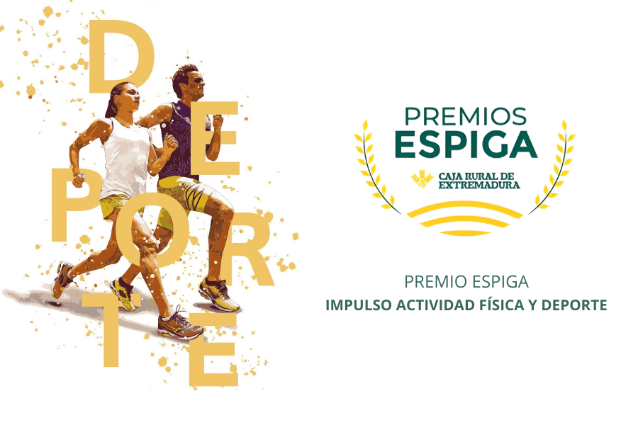 Fed. Extremeña Padel tweet media