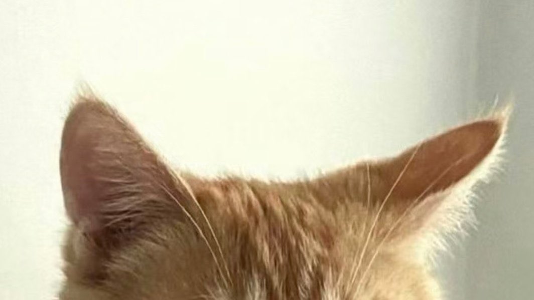 ︎⌖⁺+ tweet media