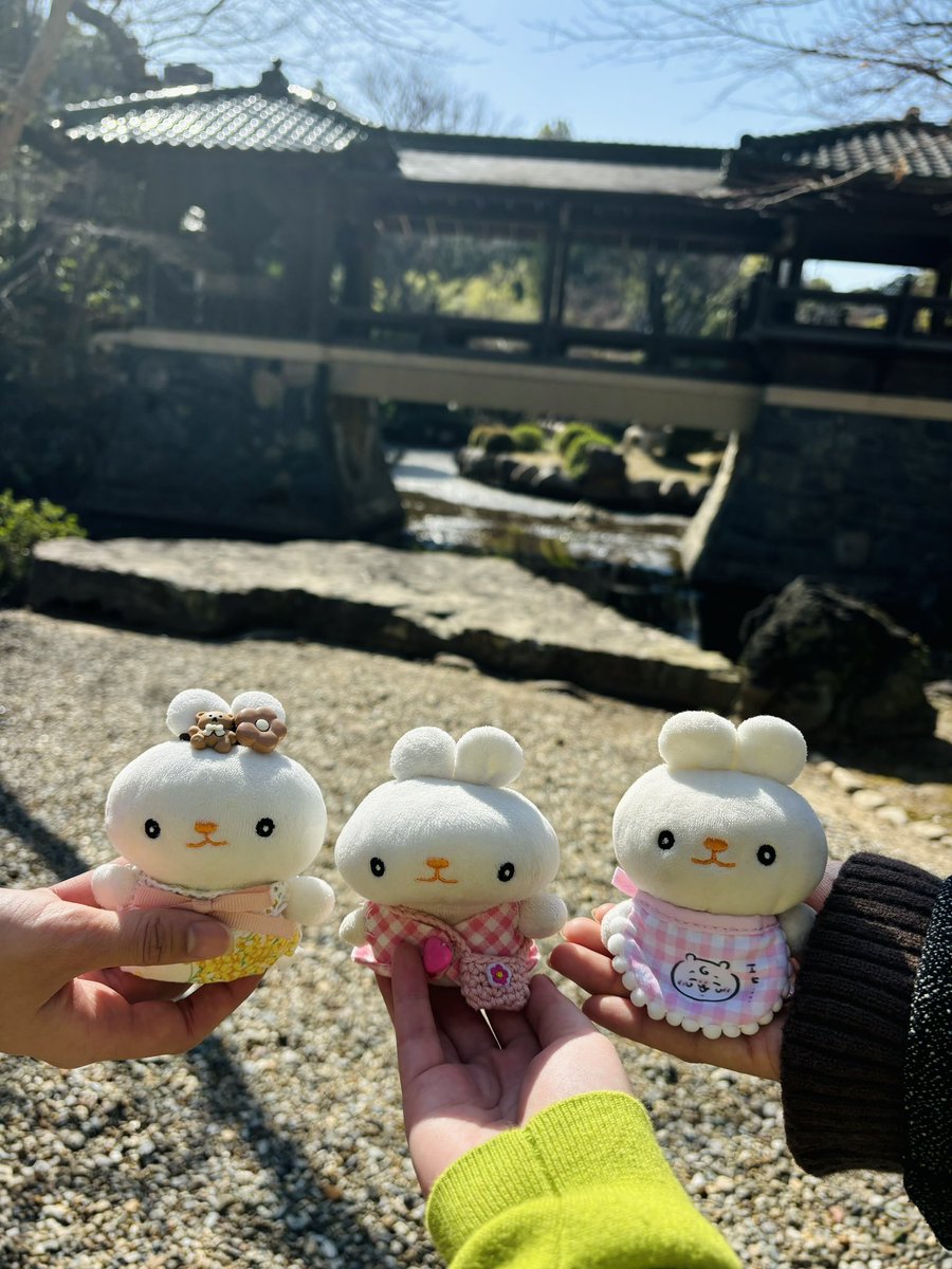 ちゃんまう tweet media