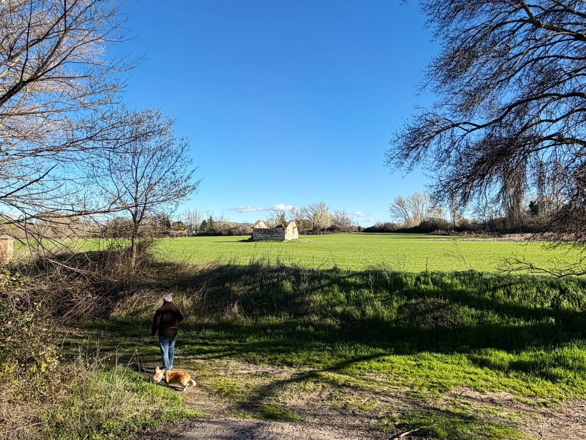 Alvaro Señán tweet media