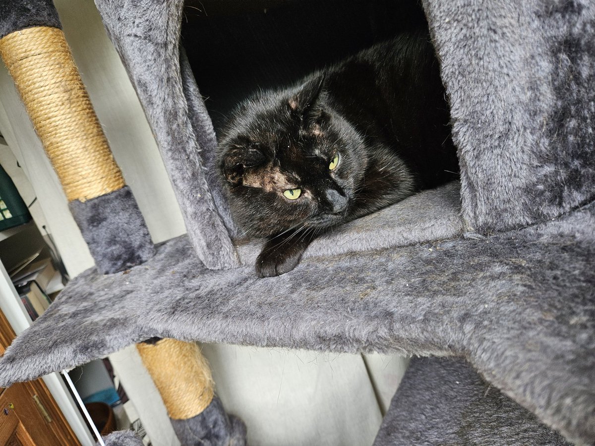 Angel Annie. tweet media