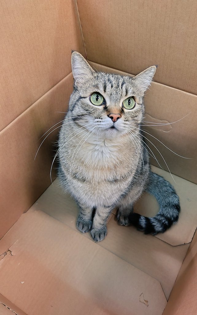 またイケてる箱もらったぜ