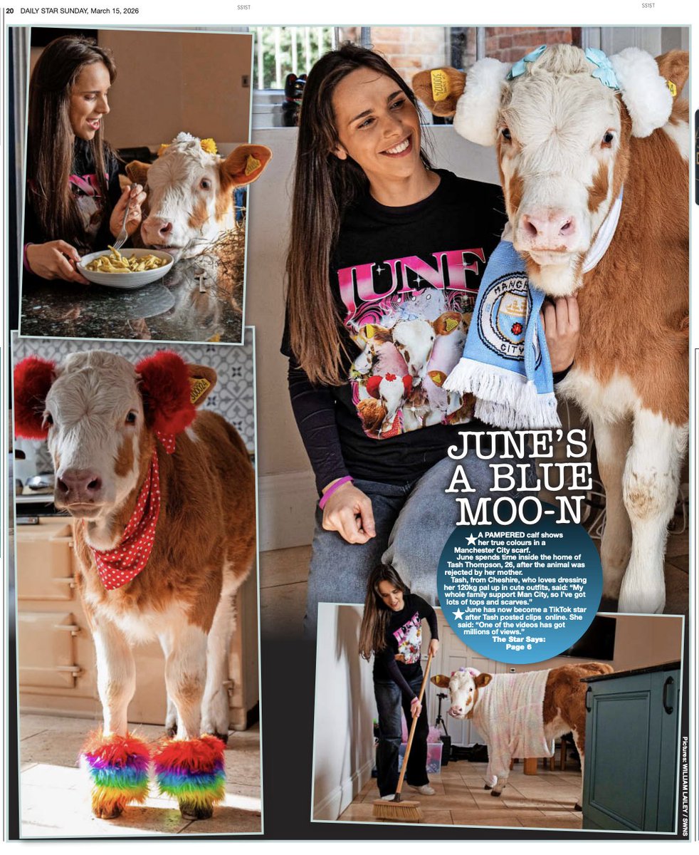 SWNS RealLifeStories tweet media