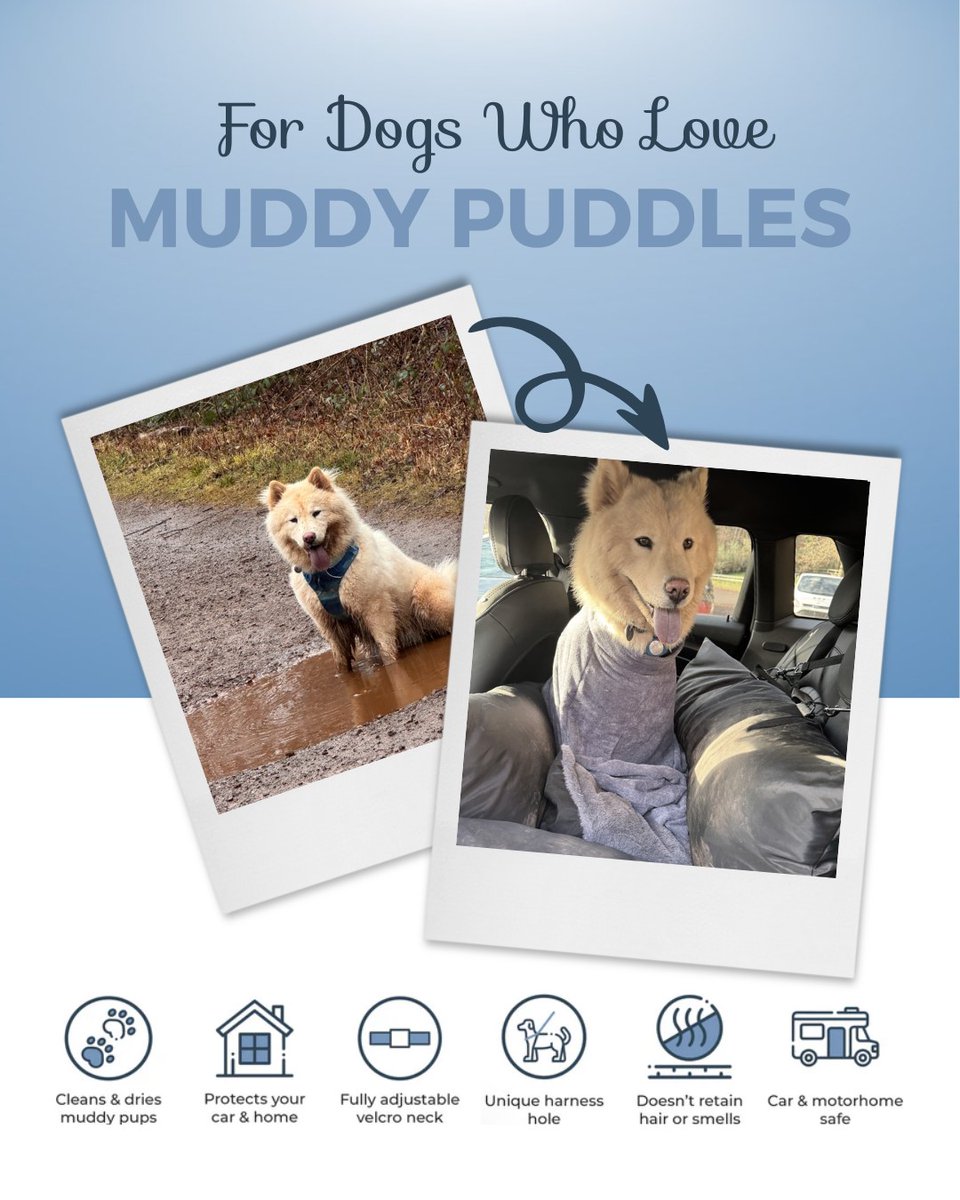 PawdawofLondon's tweet image. When someone buys a second one… you know it works 🐾
Perfect for puddle-loving pups like Roxy ⭐⭐⭐⭐⭐
#PawdawOfLondon #MuddyDogs #DogWalkEssentials #LuxuryDogLife