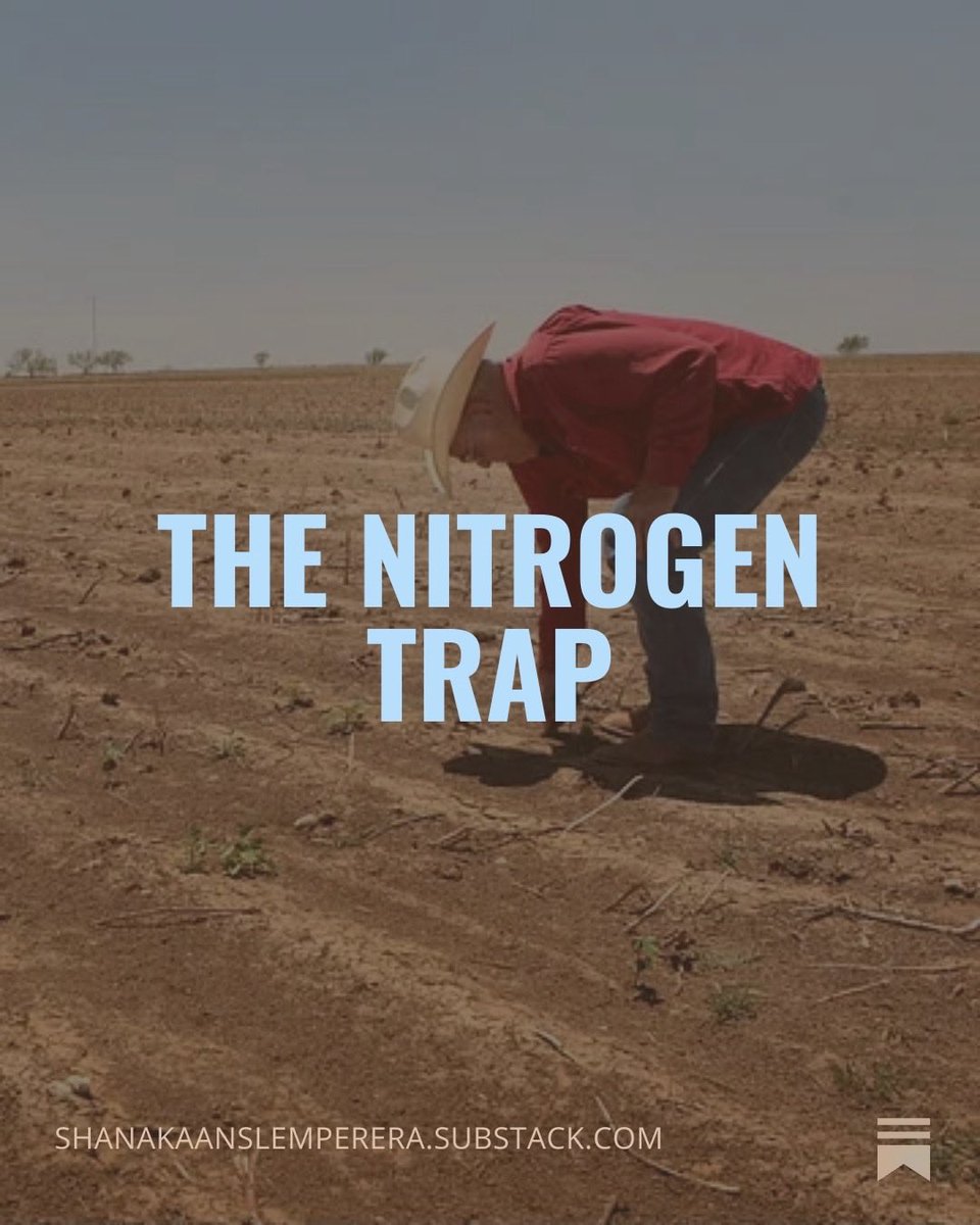 Shanaka Anslem Perera ⚡ tweet media