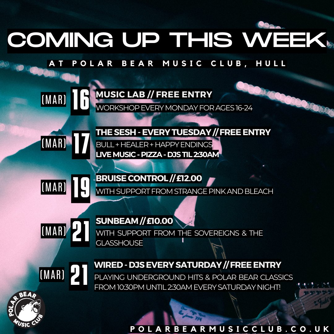 Polar Bear Music Club tweet media