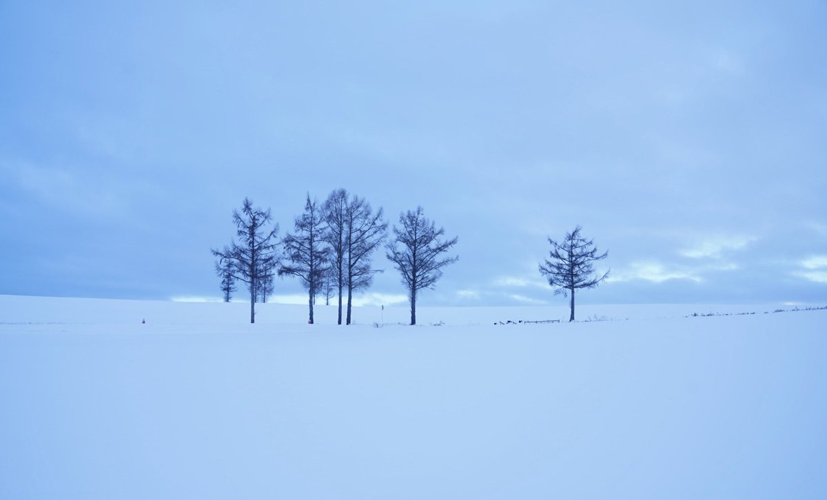 Inari426959's tweet photo. 夢で見た雪景色の断片

#写真好きな人と繋がりたい
#photography
#キリトリセカイ https://t.co/cpej4Uvlw0
