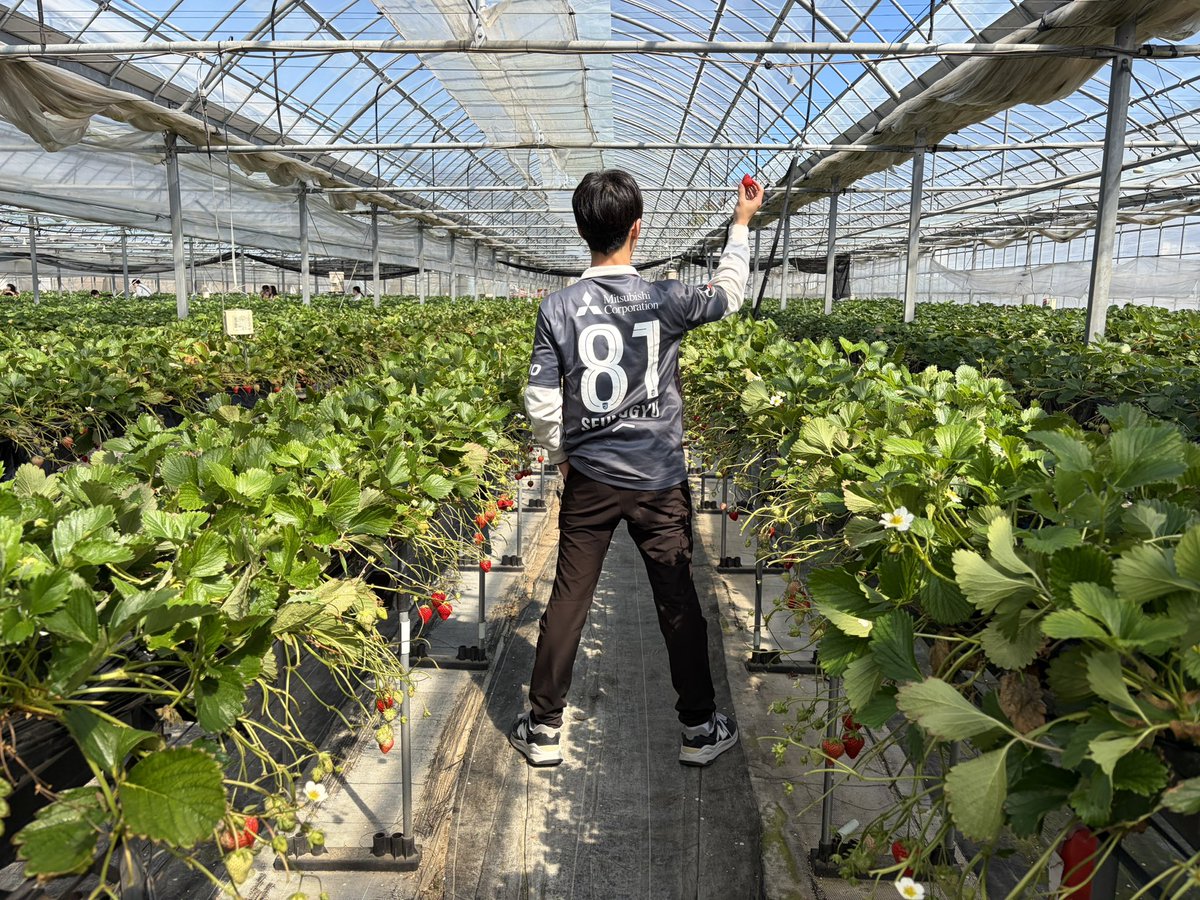 水戸戦の時いちご狩り
これは  #蝗活 ？