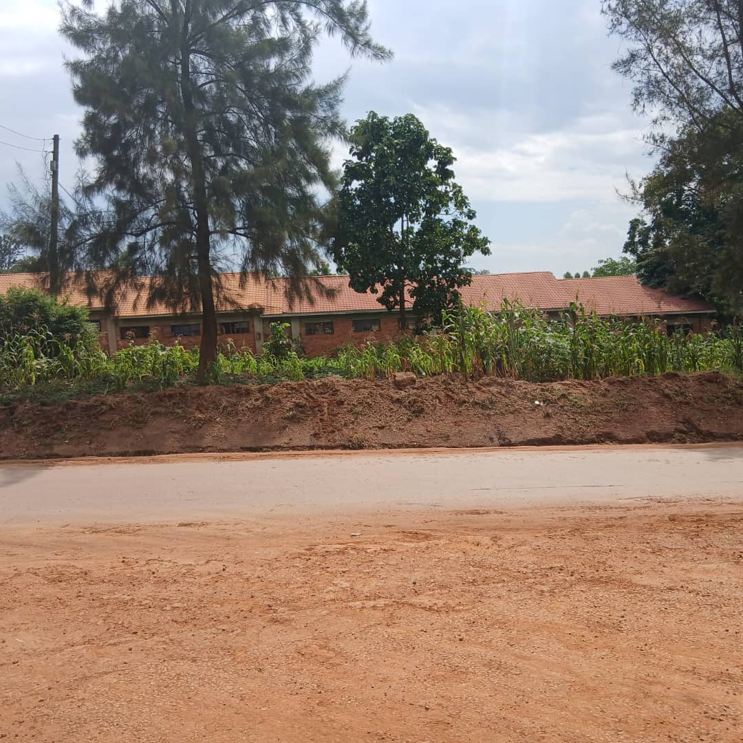 Asking Price 2.5 billion 
Size 3.5 acres 
On the main road 
Behind High Court Mbale city next to Grace Primary School 
Land title Freehold. Call 0771838070 for further information.