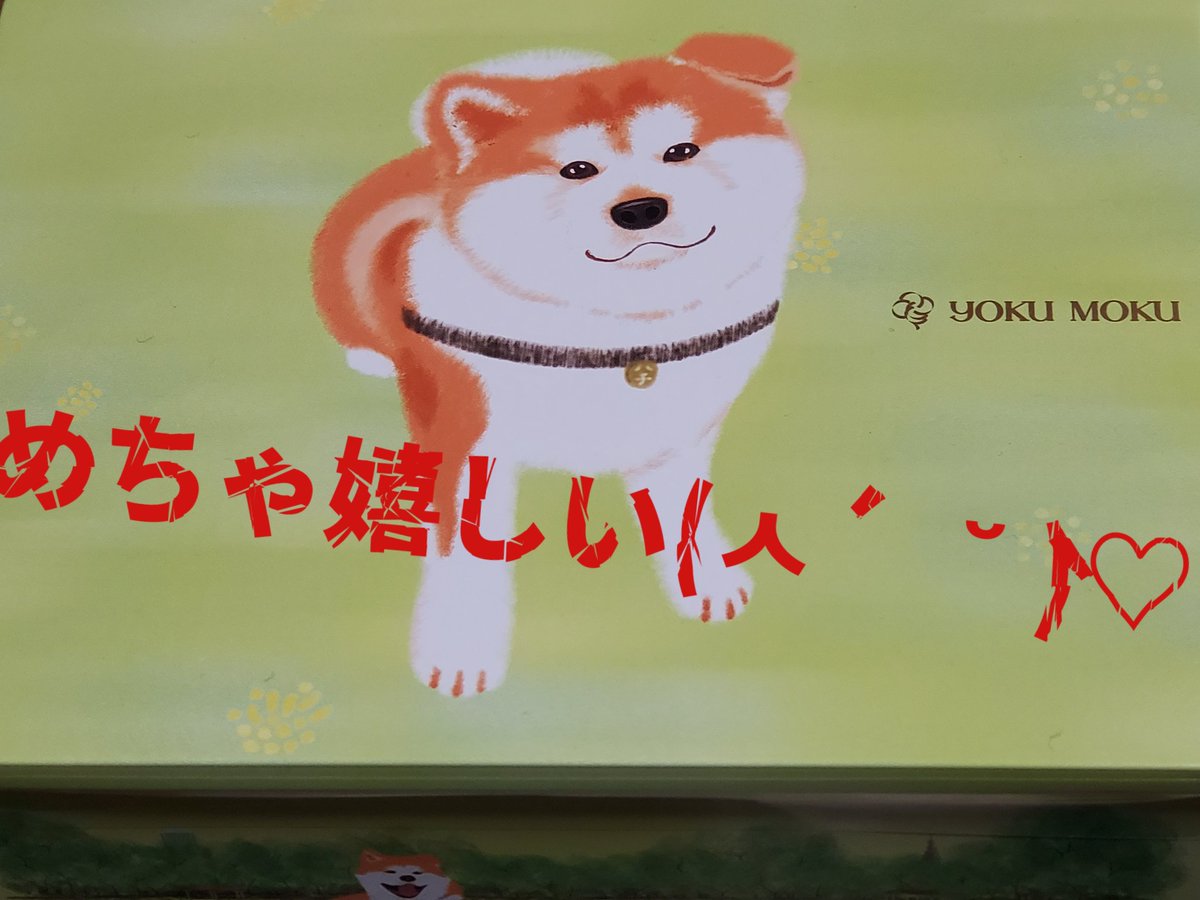 🎆🌺トリエステかすみ🌺🎆IYSB-IYSTおからの国の人 tweet media