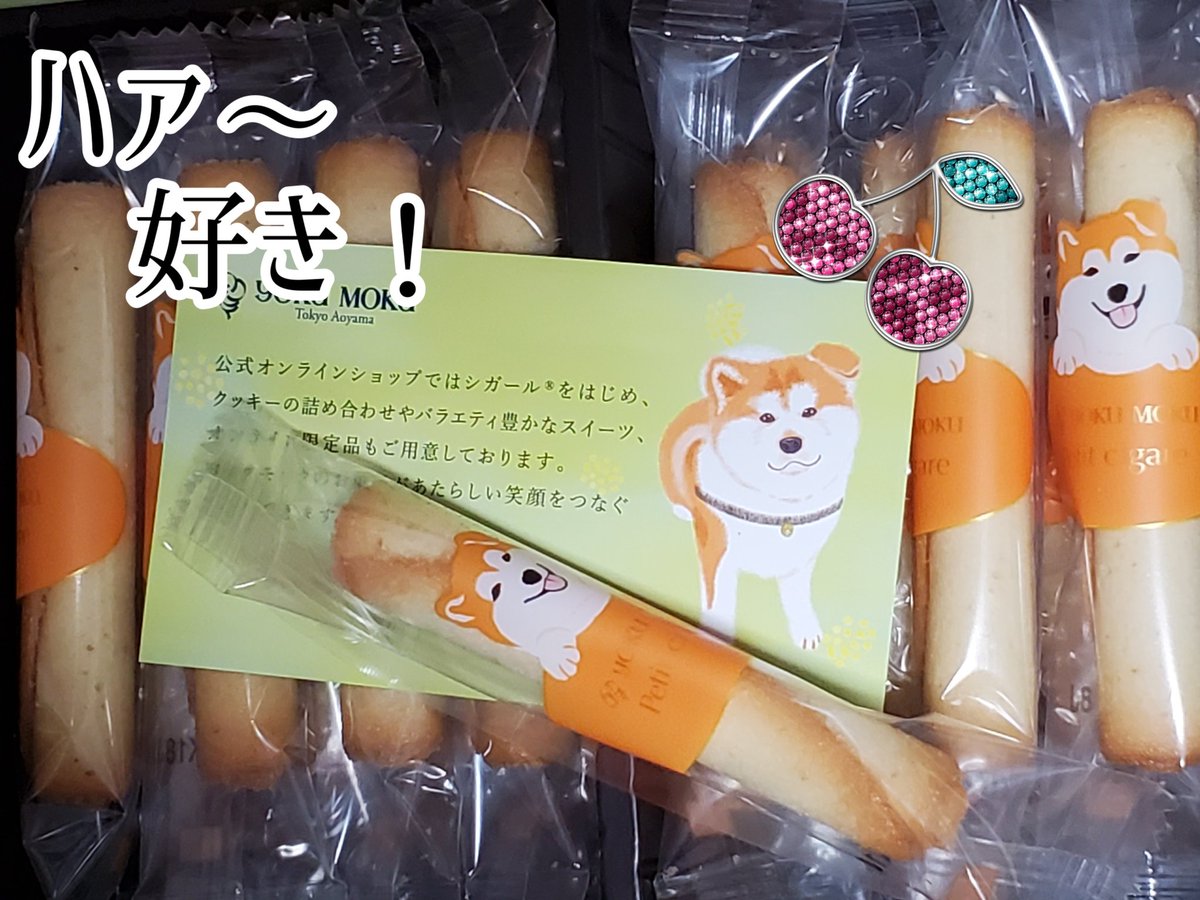 🎆🌺トリエステかすみ🌺🎆IYSB-IYSTおからの国の人 tweet media