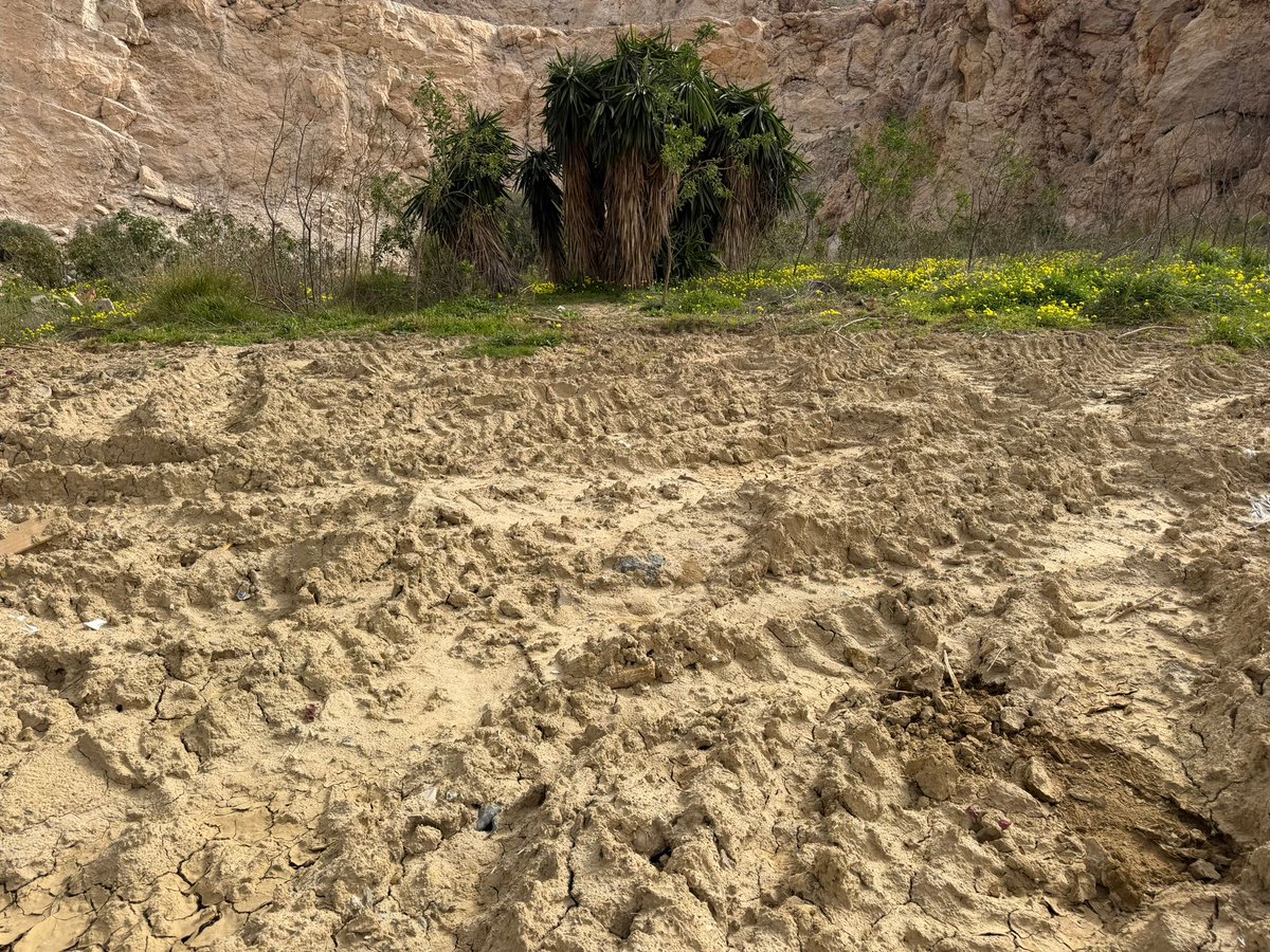 Servicios Públicos de Torremolinos tweet media