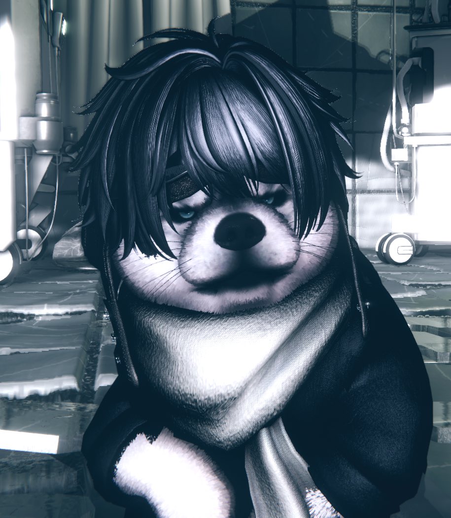 Dr-anøn tweet media