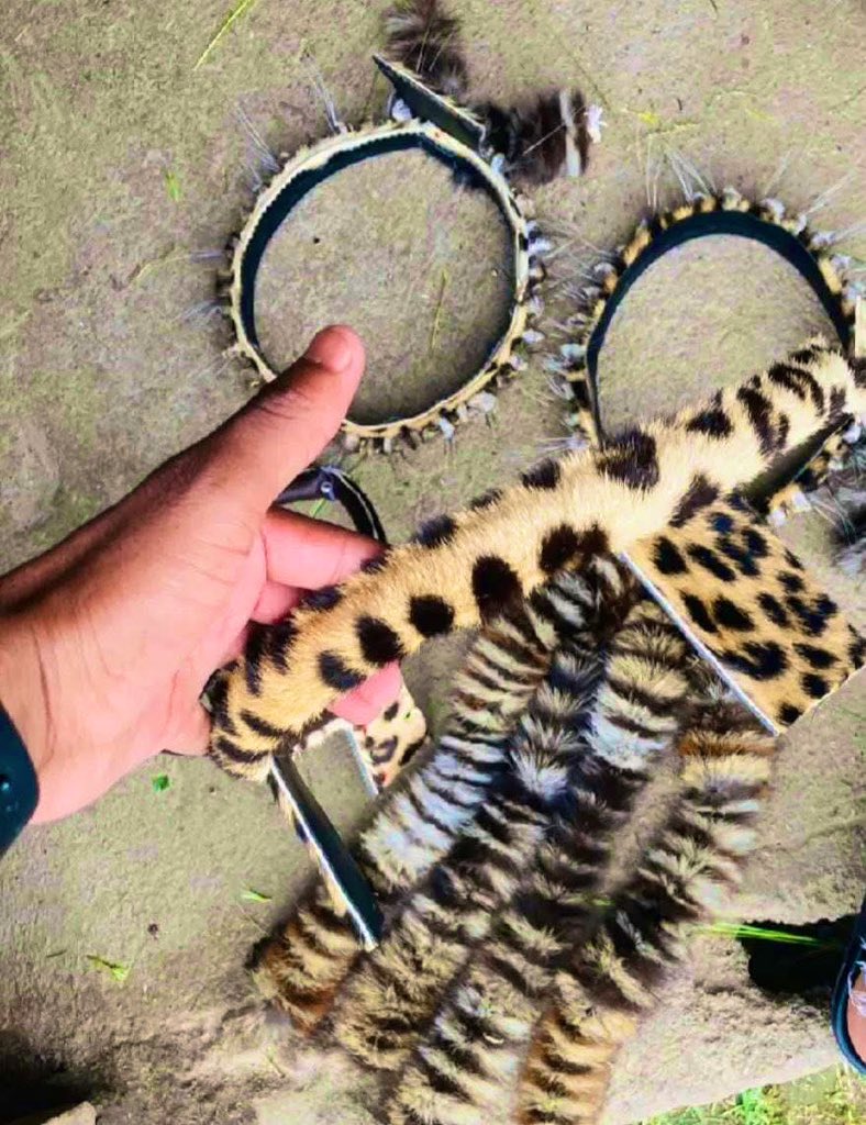 Siboniso KaMabaso tweet media