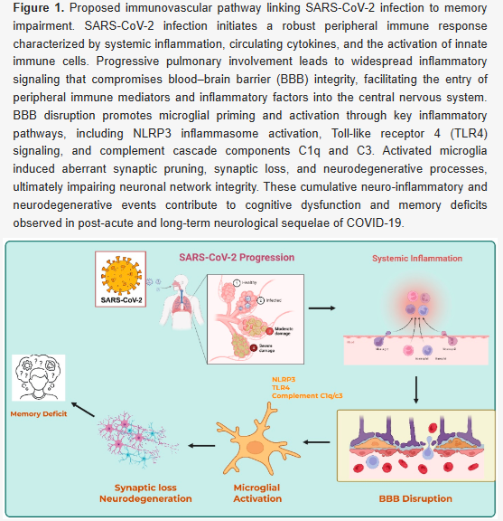 Harry Spoelstra tweet media