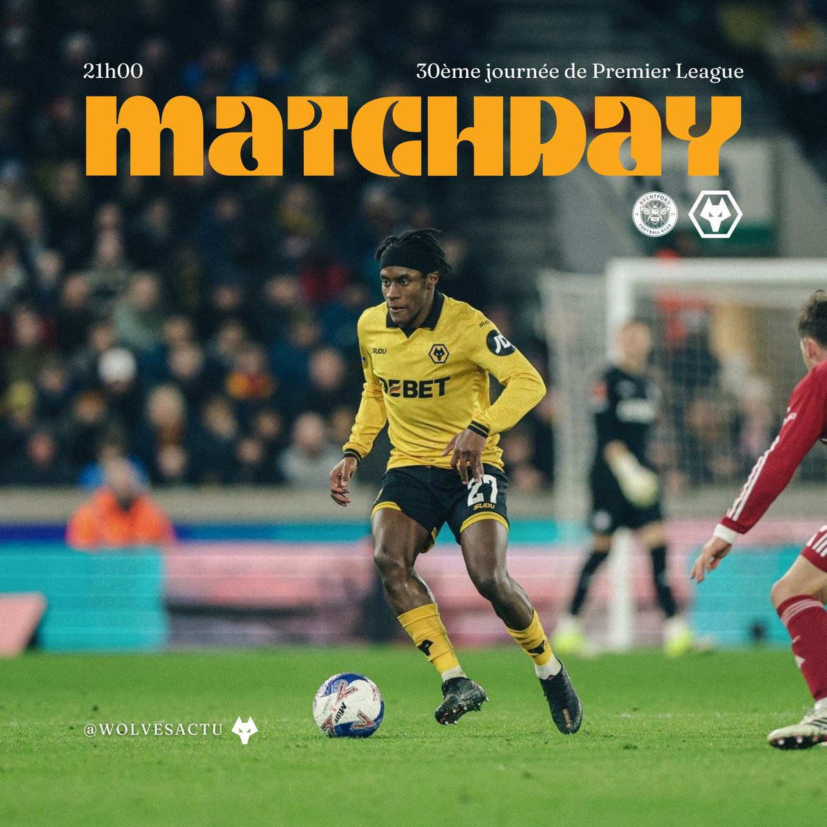 Wolves Actu France 🐺🇫🇷 tweet media
