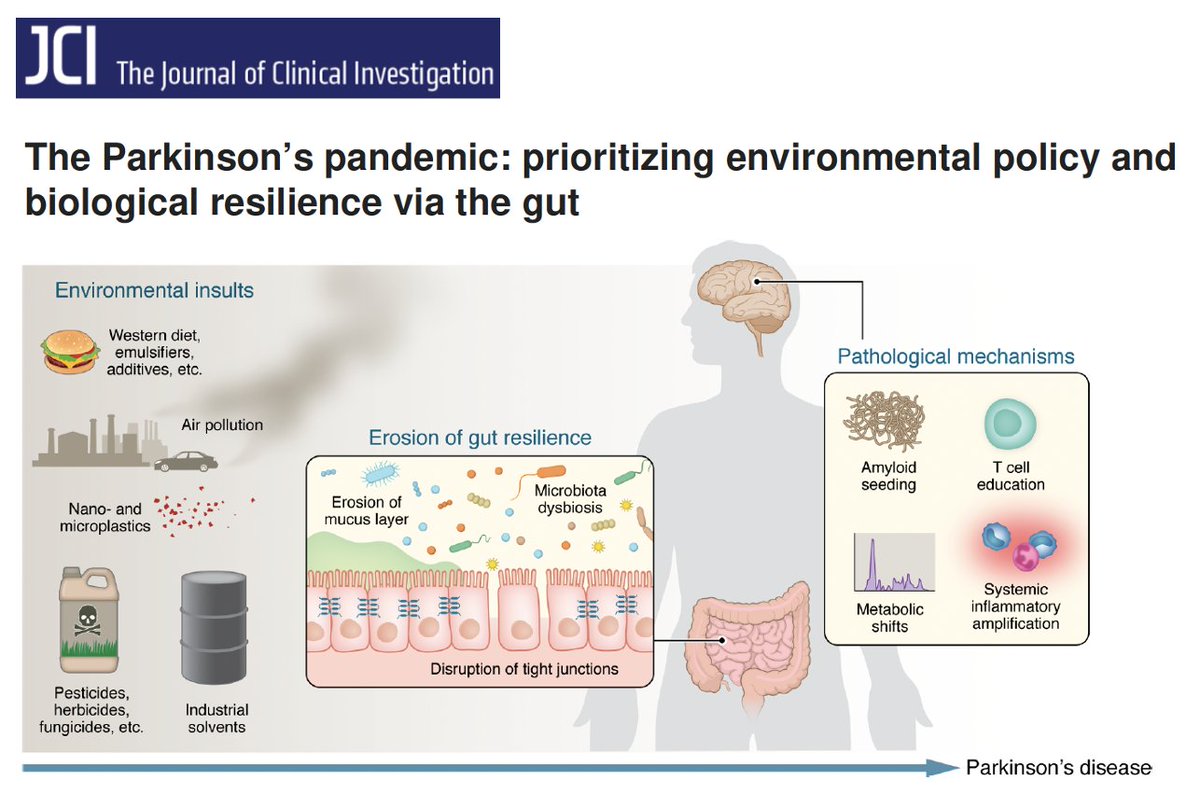 Michael Okun tweet media