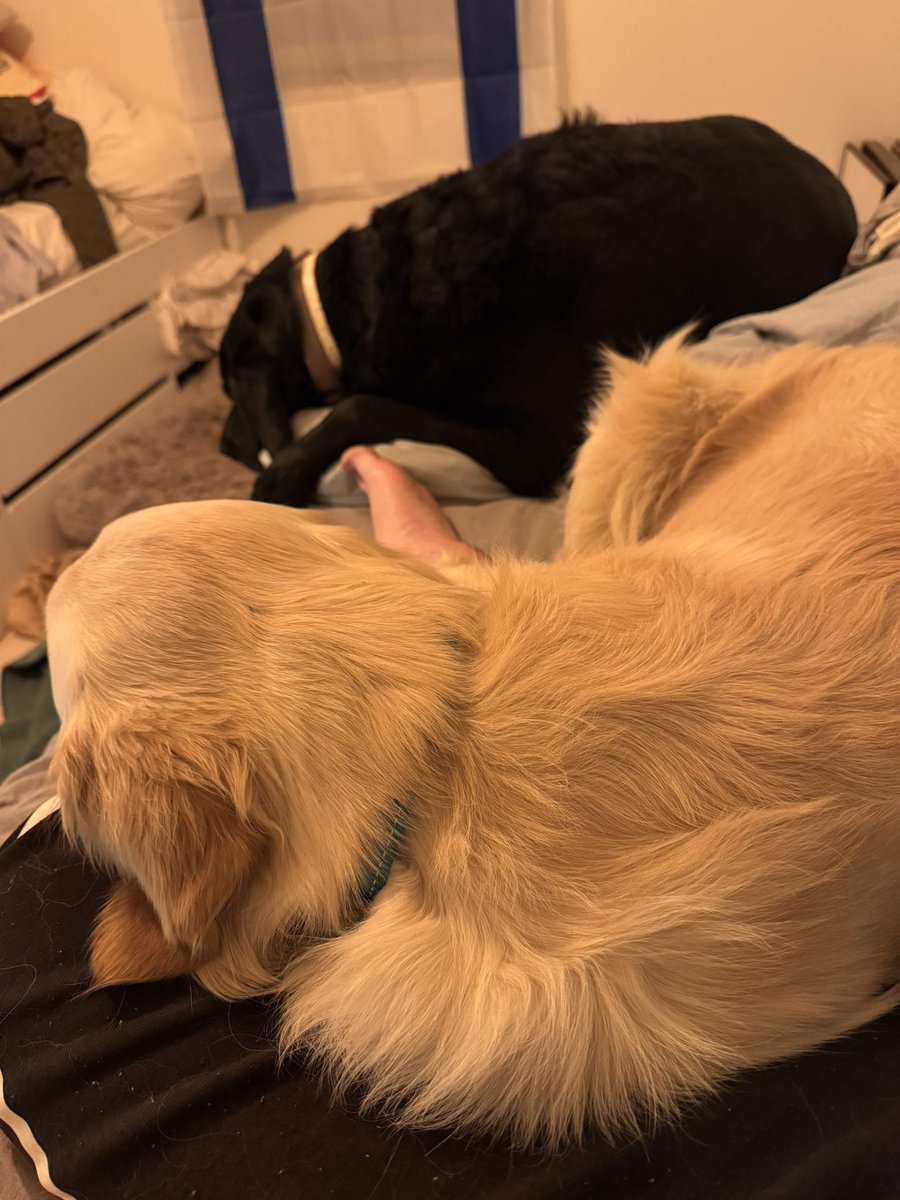 Stephanie Quick tweet media