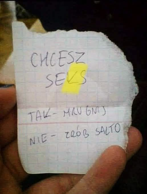 Michalina Kobla tweet media