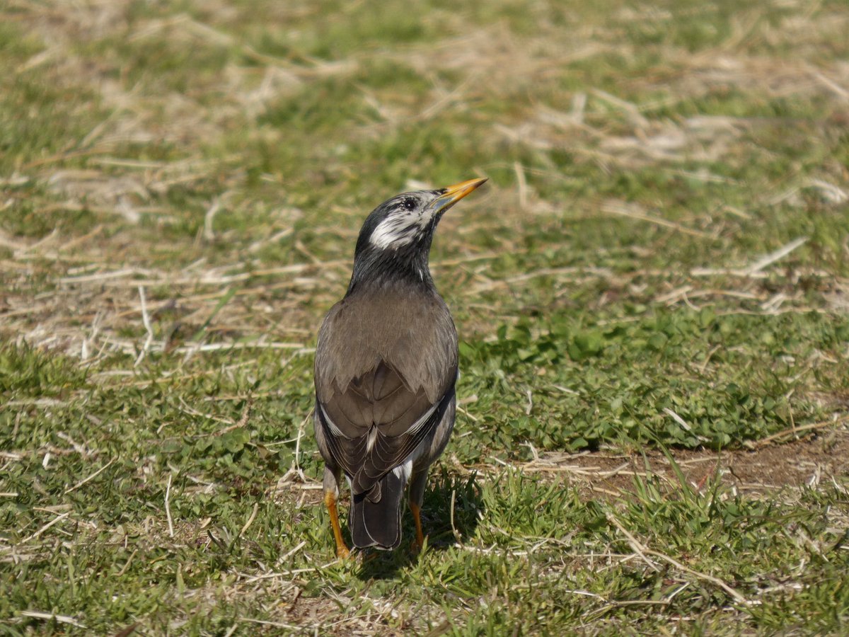 めっちゃくちゃ楽しいです