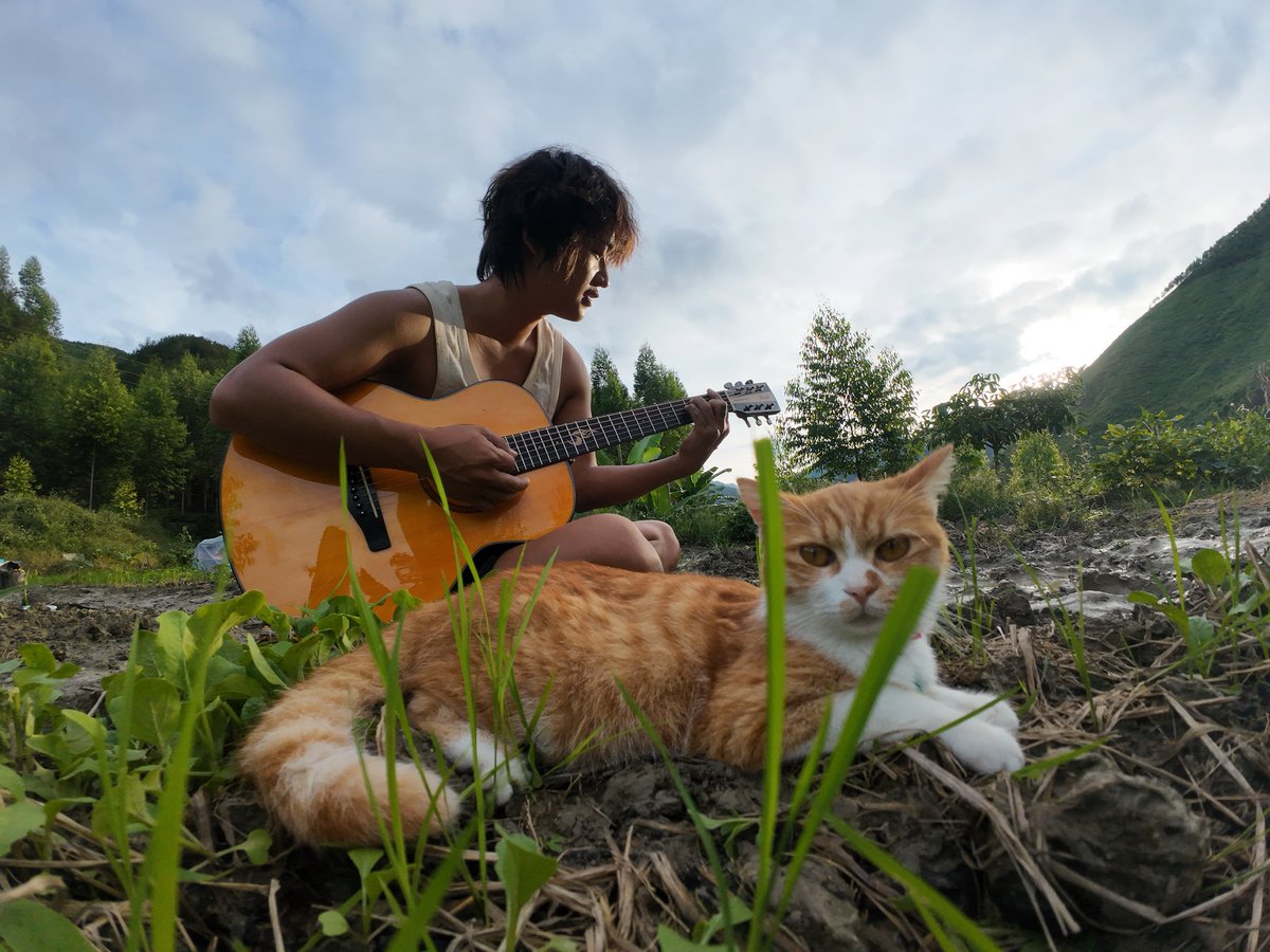 adiaomountain 山脚下的阿刁 tweet media