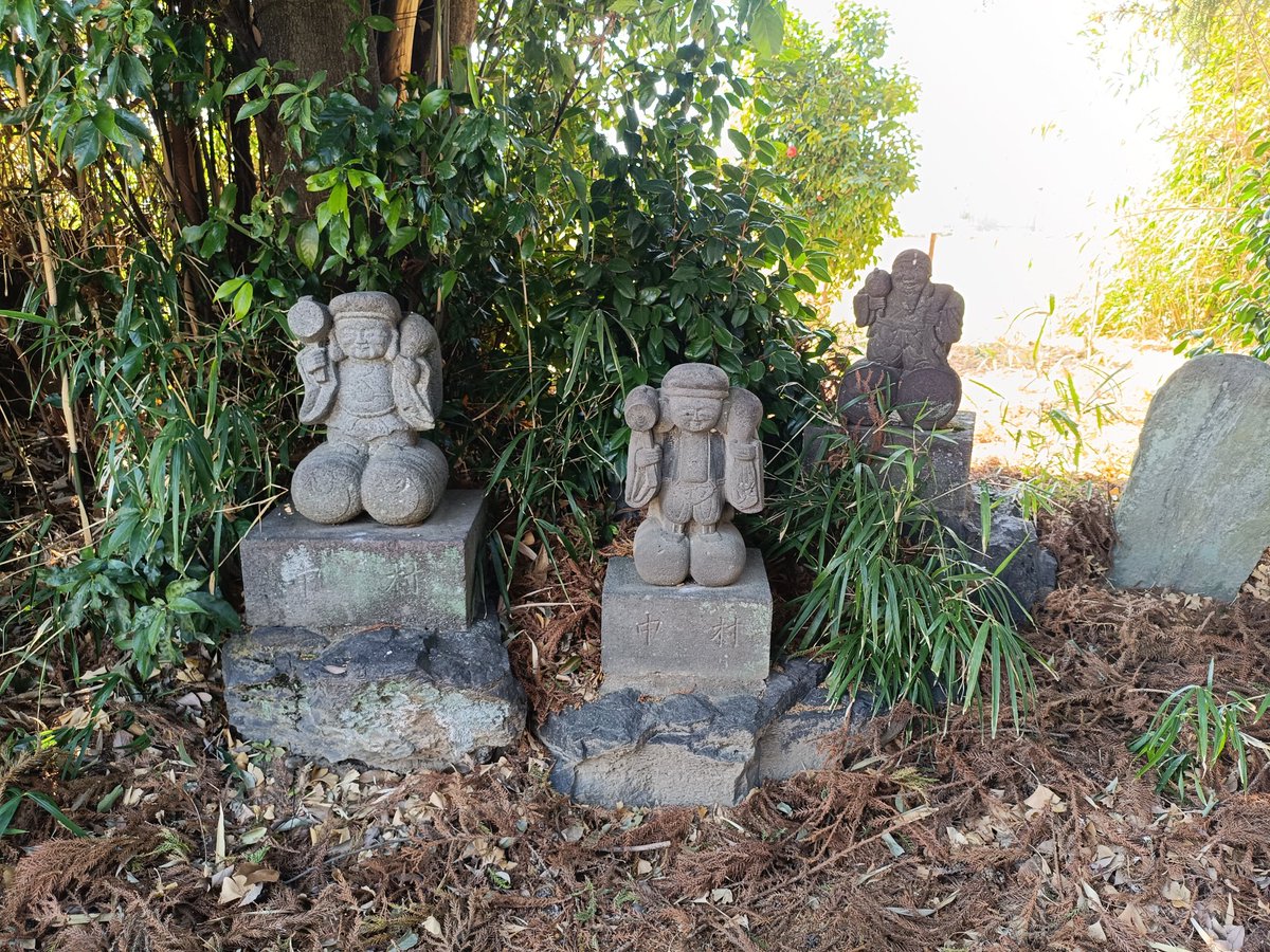 本日は飯玉神社〜二宮赤城神社〜亀里諏訪神社〜龍門三峯神社〜藤大明神〜春日神社〜西光寺〜駒形神社〜宮子神社〜田中島神社〜田中諏訪神社〜韮塚飯玉神社〜八斗島稲荷神社〜豊武神社〜雷電神社〜泉龍寺〜柴町八幡神社と参拝に巡りました。明日からもよろしくお願いいたします。