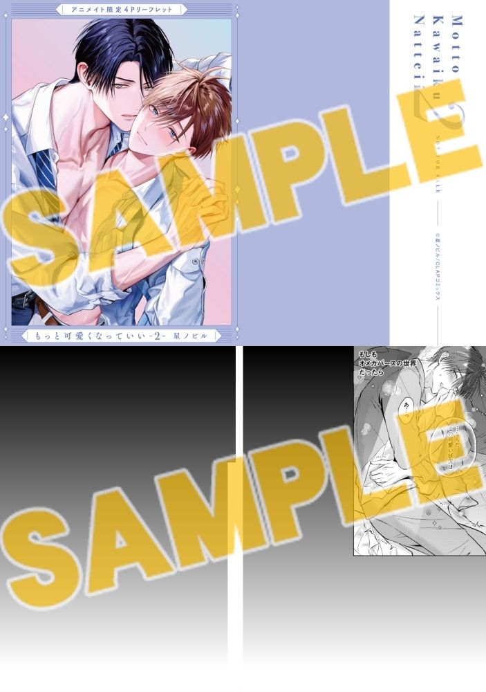 書籍】「もっと可愛くなっていい(2) 小冊子&ボイス付特装版 アニメイト