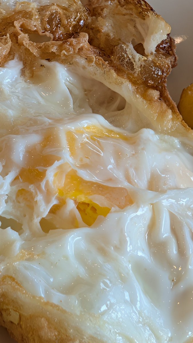 Mr.JayTH 🐾 tweet media