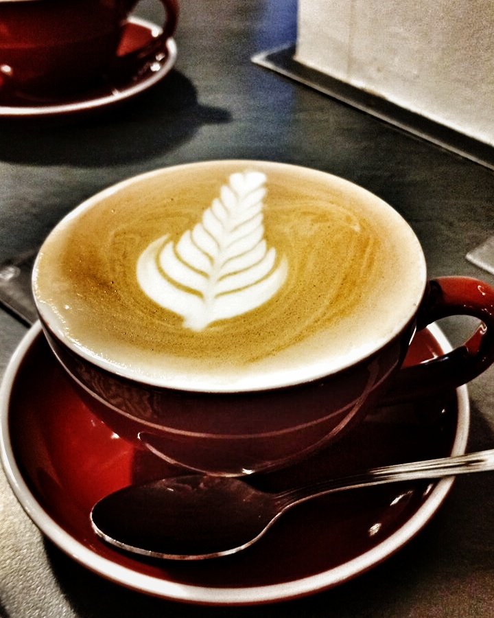 Lorenzo Gallardo tweet media