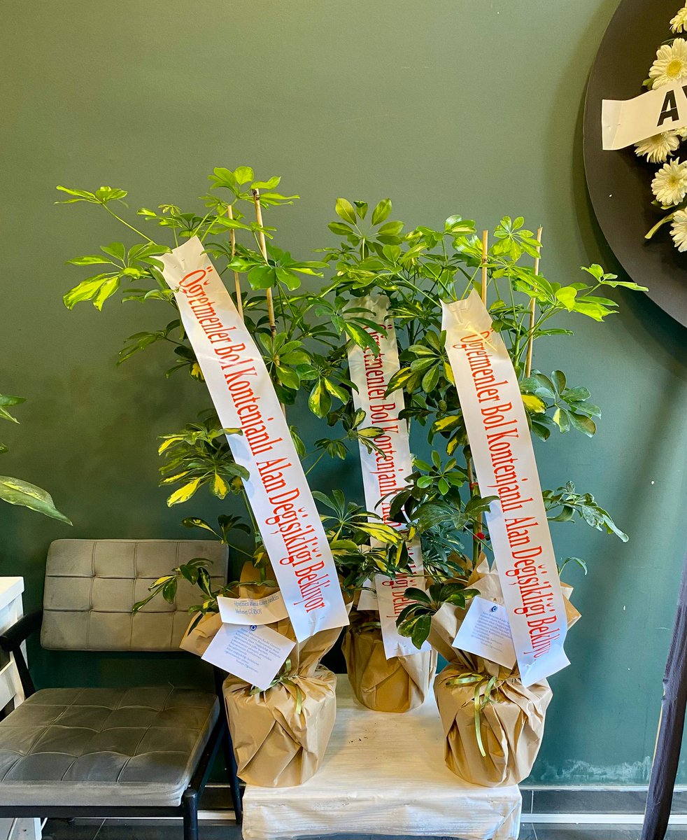 <a href="/yunuskocakaya25/">Yunus Öğretmen</a> <a href="/Yusuf__Tekin/">Yusuf Tekin</a> <a href="/cftcblnt/">Bülent ÇİFTCİ</a> <a href="/talatyavuz29/">Talat YAVUZ</a> <a href="/TalipGeylan06/">Talip Geylan</a> <a href="/RTErdogan/">Recep Tayyip Erdoğan</a>
<a href="/YilmazKATMER/">Yılmaz KATMER</a> 
<a href="/Yusuf__Tekin/">Yusuf Tekin</a>
<a href="/EmineErdogan/">Emine Erdoğan</a> 
<a href="/_cevdetyilmaz/">Cevdet Yılmaz</a> 
<a href="/memetsimsek/">Mehmet Simsek</a> 
<a href="/iletisim/">T.C. İletişim Başkanlığı</a> 
<a href="/tcbestepe/">T.C. Cumhurbaşkanlığı</a> <a href="/EgitimBirSen/">Eğitim-Bir-Sen</a> 
<a href="/_aliyalcin_/">Ali YALÇIN</a> 
<a href="/talatyavuz29/">Talat YAVUZ</a> 
<a href="/TalipGeylan06/">Talip Geylan</a> 
<a href="/dbdevletbahceli/">Devlet Bahçeli</a> 
<a href="/AvOzlemZengin/">Av. Özlem Zengin 🇹🇷</a> 
<a href="/drbetulsayan/">Dr.Betül Sayan Kaya 🇹🇷</a> 
<a href="/abdulhamitgul/">Abdulhamit Gül</a> 
<a href="/fahrettinaltun/">Fahrettin Altun</a>
<a href="/hasandogan/">Hasan Doğan</a> 
<a href="/oktay_saral/">Oktay SARAL</a>