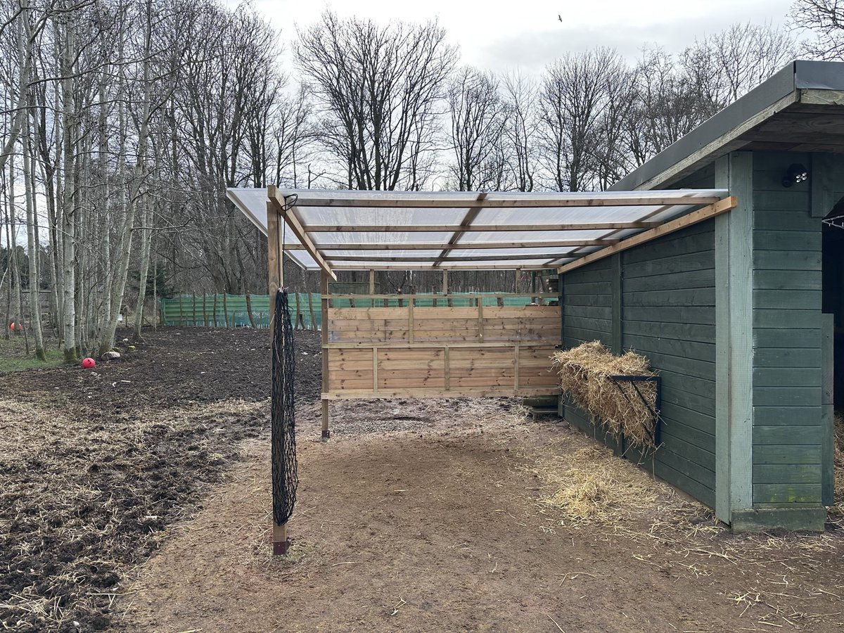 Alness Academy CDT tweet media